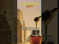 Download Lagu Nu'aiman Memberi Hadiah Madu Kepada Rasulullah SAW - Kisah Nu'aiman Sahabat Nabi yang Jenaka