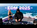 Lagu Best of Alan Walker 2025 🔥 New Remix Playlist | Top EDM Songs You Must Hear