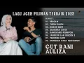 Download Lagu Cut Rani Reugam | Theun Rindu Lagu Aceh Pilihan Terbaru 2025