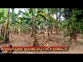 Download Lagu Ebanja Lyomwana Official Video Cover By Abakubi Bemisota Family (Respect 2 Lord Fred Ssebatta