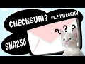 What is CHECKSUM CRYPTOGRAPHIC HASH FUNCTIONS
