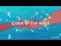 【和訳】カラー・オブ・ザ・ウィンド【ポカホンタス】