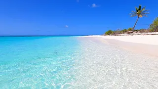 Turquoise Shoals The Most Relaxing Waves In The World 