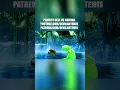 Kermits Domain Expansion