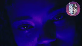 Gritty Lex - Make Up Directed by Sage Wolf