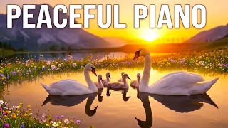 Peaceful Piano Relaxation with Birds, Water sounds and Nature in 4K