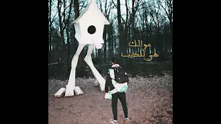          مو الك هي للديب               دندنها