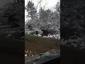 SNOW IN TOMBALL TEXAS December 2017