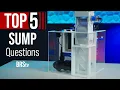 Better Than an Aquarium Canister Filter Saltwater Tank Sumps HOW They Work