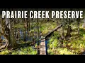 Hiking the Prairie Creek Preserve in Gainesville Florida 2021
