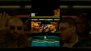 الشامي كيفو Al Shami Keefo ترند الشامي 