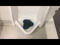 1 856 Petco Men s Restroom