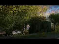 Make Forest - Geometry Nodes Forest Generator for Blender