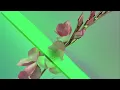 Flume - Never Be Like You feat. Kai (Disclosure Remix)