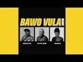 Download Lagu Sfarzo Rtee, Kelvin Momo \u0026 Makhanj - Bawo Vula (Remix)(Official Audio)