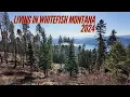 Living in Whitefish Montana 2024