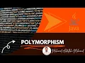 Polymorphism in Java Method Overloading and Overriding Explained