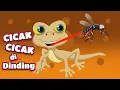 Download Lagu Cicak cicak di dinding - Lagu anak balita Populer indonesia (new)