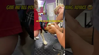 Give me all your dog nail trimming advice! Oakley hates getting his nails trimmed. #puppy #furbaby