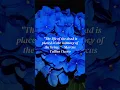 50 Timeless Inspirational Quotes for Orbituary or Euology