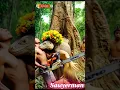 Download Lagu TRUE STORY:Lumberjack flees from Mysterious Reptiles after cutting Ancient Trees! Protect the Forest