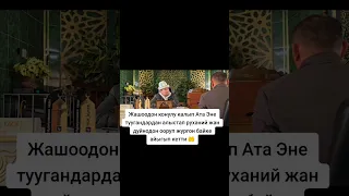 3 октября 2024 г.