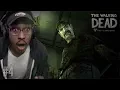 Download Lagu I WASN'T READY FOR ALL THIS! | The Walking Dead: Season 1 | #4