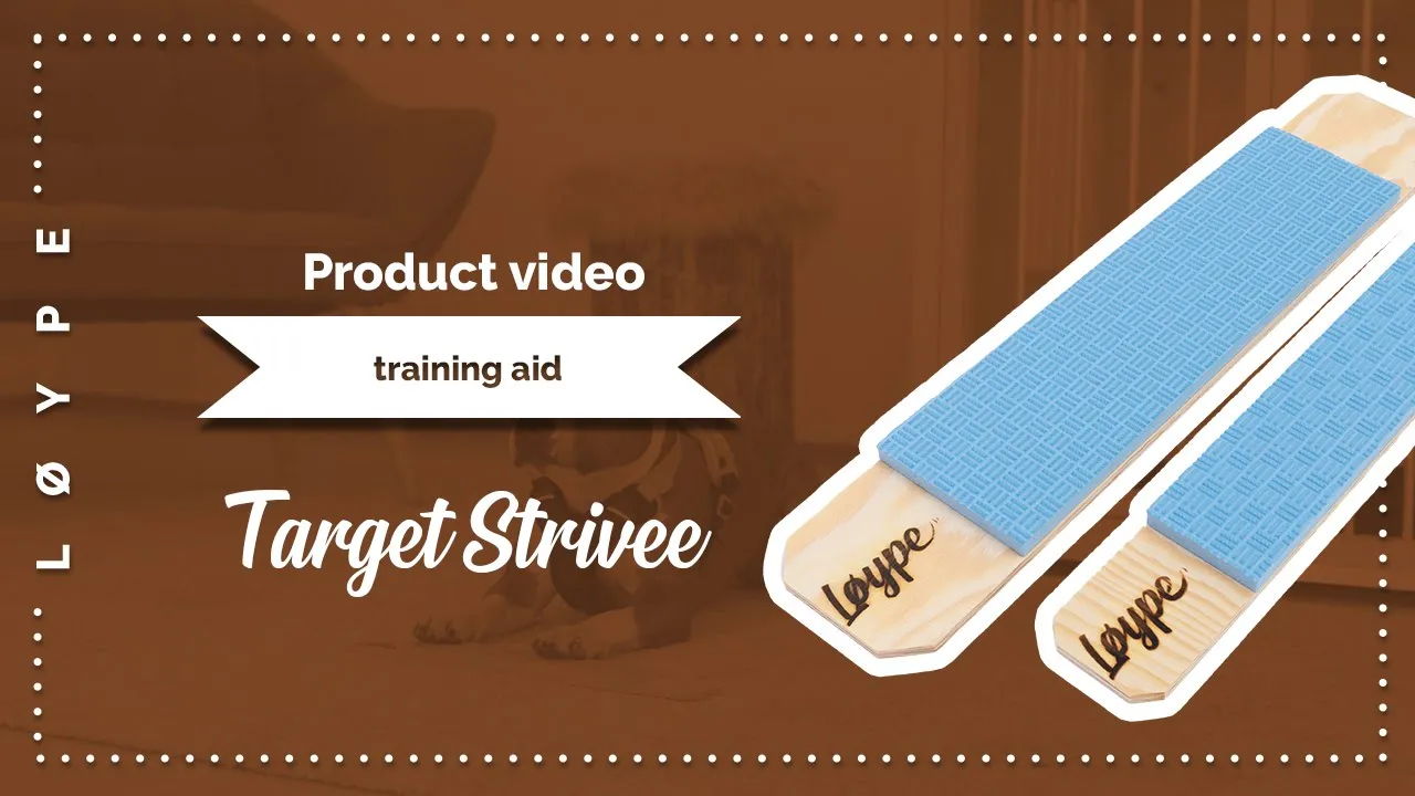 Target Strivee