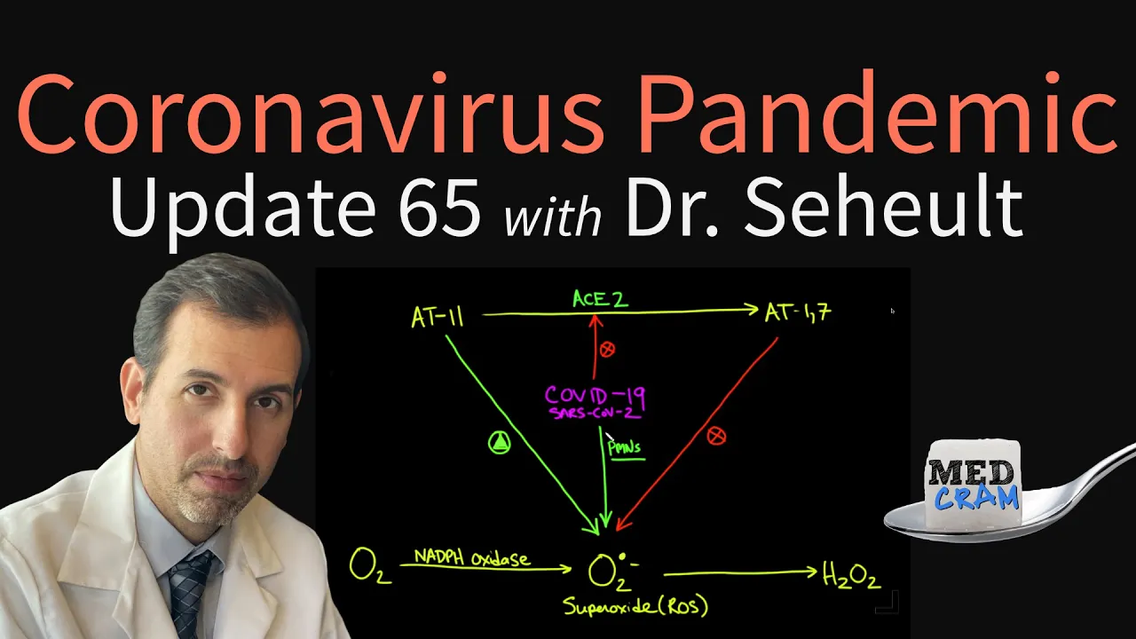Coronavirus Pandemic Update 65: COVID-19 and Oxidative Stress (Prevention & Risk Factors)