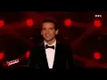 Mika's Blind Audition | The Voice France 2017 w/ English subtitles