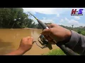 Download Lagu Rezeki mancing sebelum ribut | strike pelbagai jenis ikan sungai #wms-383