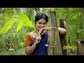 Download Lagu Mounaraagam Serial Title Song - Singer Sunitha | Best Top Highlight Telugu Serials | Star Maa