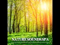 Nature Sounds Spa