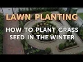 How to Plant Grass Seed in the Winter