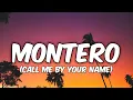 Download Lagu Lil Nas X - MONTERO [Lyrics] (Call Me By Your Name) [TIKTOK SONG]