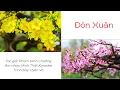 Download Lagu [MUSIC] ĐÓN XUÂN | LYRICS | UYENVO