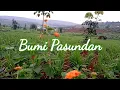 Download Lagu Bumi Pasundan tempat kelahiranku #sunda #jawabarat