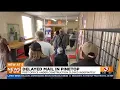 Northern Arizona post office closed indefinitely residents raise concerns