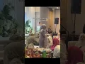 Download Lagu Afwa Je Berani Tutup Telinga Bila Siti Nurhaliza Nyanyi