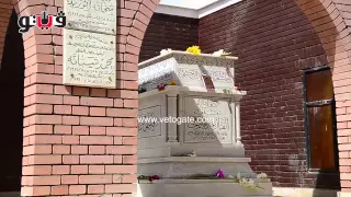 غياب أهل الفن عن إحياء ذكرى وفاة عبدالحليم حافظ  غياب أهل الفن عن إحياء ذكرى وفاة عبدالحليم حافظ