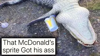 we LITERALLY turned all of reddit into a