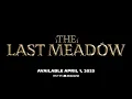 The Last Meadow - Announcement Trailer | Discord