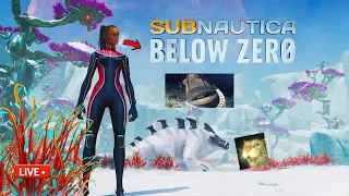 Aku Kembali Ke Planet ALIEN PENUH AIR!! - Subnautica Bellow Zero