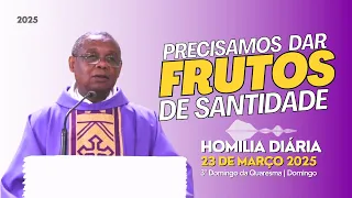 🎙️ HOMILIA DIÁRIA | PRECISAMOS DAR FRUTOS DE SANTIDADE | 3º Domingo da Quaresma | Domingo