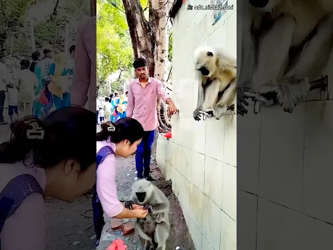#bts