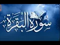 Download Lagu Surah Al Baqarah (سورة البقره) HEART TOUCHING RECITATION | #islamicinfo,#surahbaqarah ,#recitation