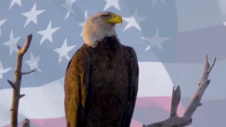 WPSD Local 6 - Independence Day On-Air Promo 30