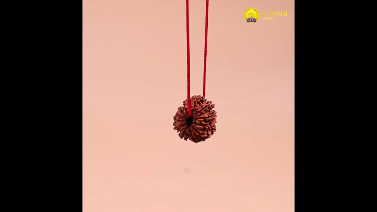 Nepali 18 Mukhi Rudraksha (Eighteen-Faced)