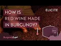 Red Winemaking In Burgundy Explained