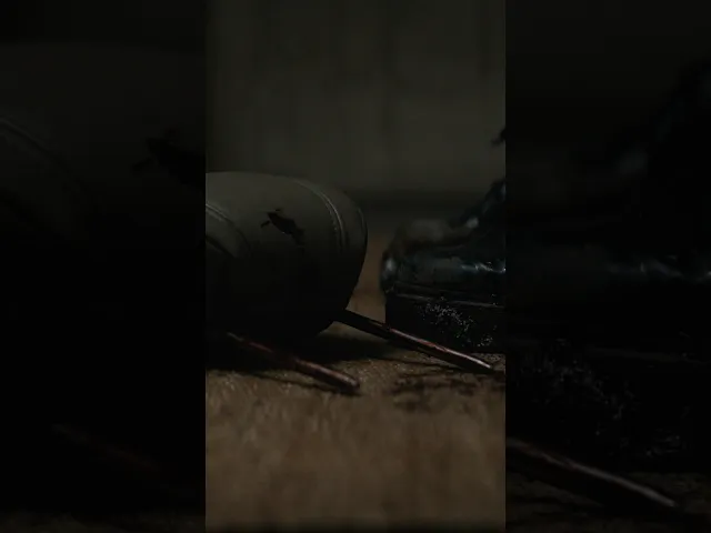 background images